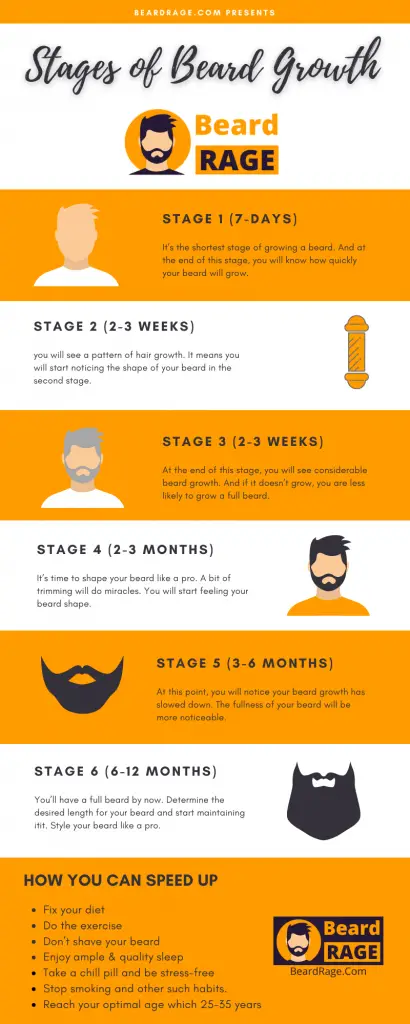 Stages of Beard Growth by BeardRage