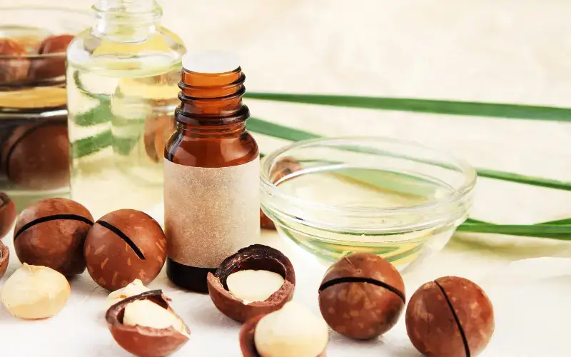 Benefits of Macadamia Nut Oil for Beard