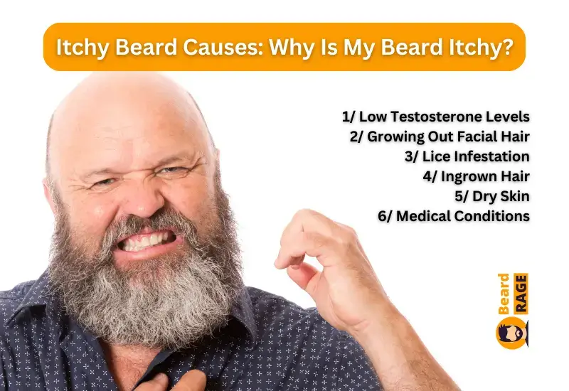 Itchy Beard Causes Why Is My Beard Itchy