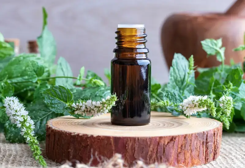 Peppermint Oil for Beard Growth 