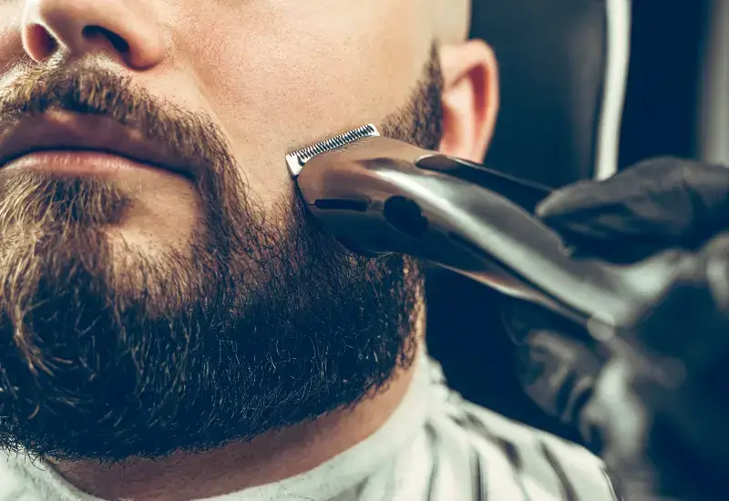 Blend a Beard at Home