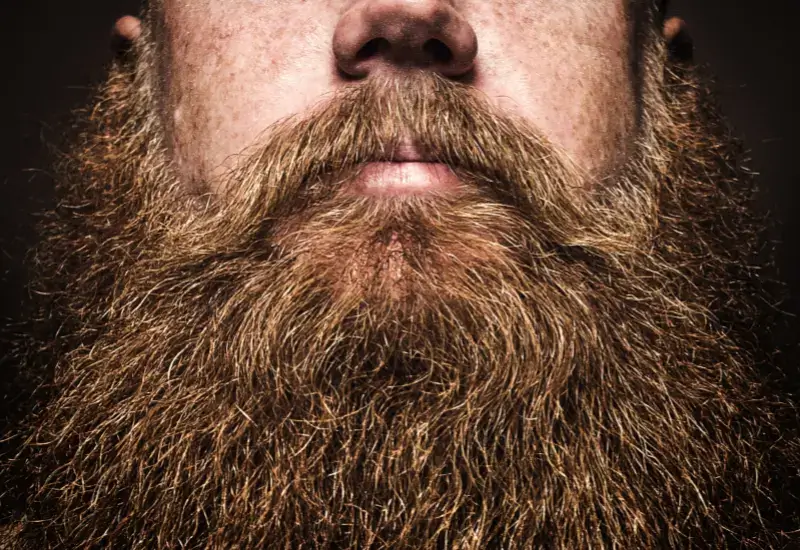 Beard Balm and Wax for Hair Growth